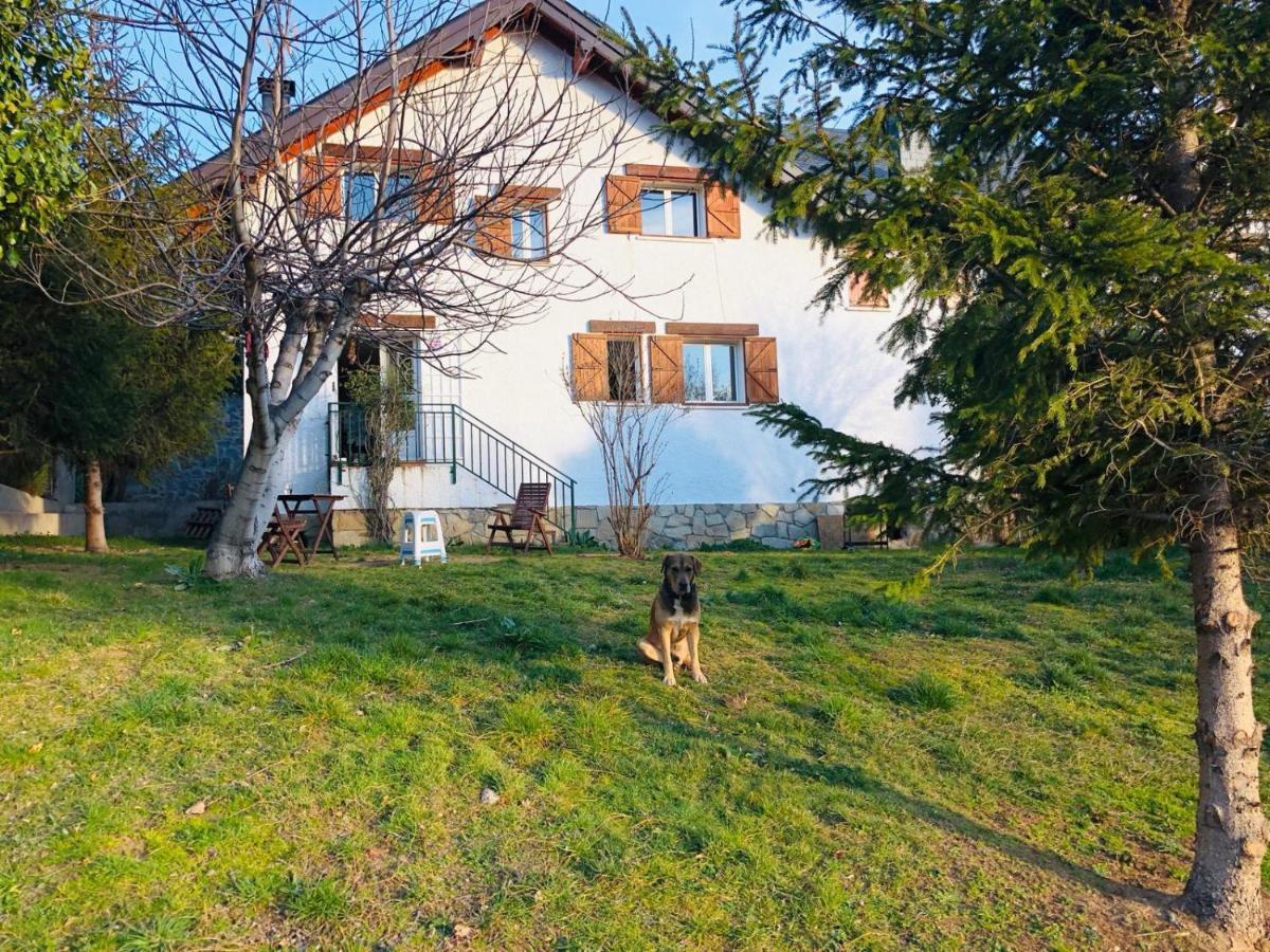 Casa Con Jardin, 4 Habitaciones Y Mucho Encanto En เซร์เซดียา ภายนอก รูปภาพ